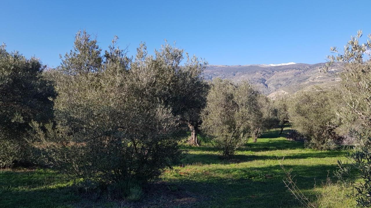 Gateway To The Alpujarras, 'Cortijo Derry' Hotel Orgiva Exterior photo