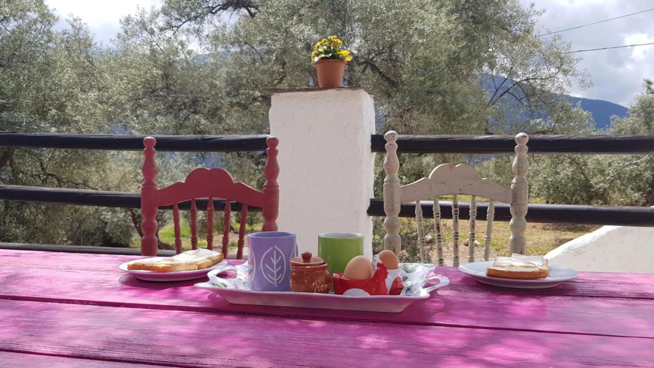 Gateway To The Alpujarras, 'Cortijo Derry' Hotel Orgiva Exterior photo
