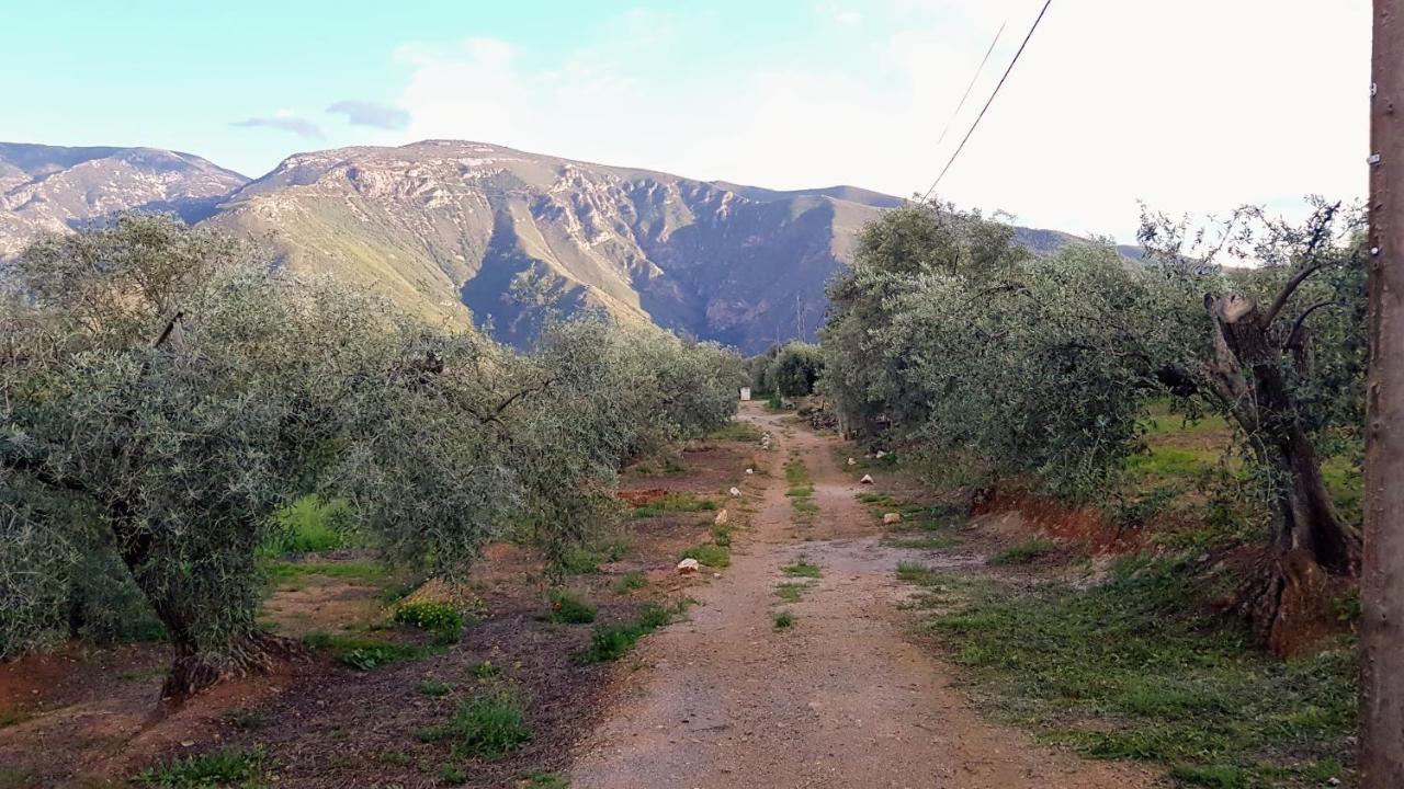 Gateway To The Alpujarras, 'Cortijo Derry' Hotel Orgiva Exterior photo